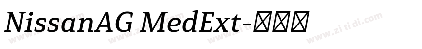 NissanAG MedExt字体转换